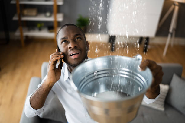 Best Basement water damage restoration  in East Brady, PA