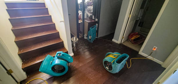 Best Water damage cleanup near me  in East Brady, PA