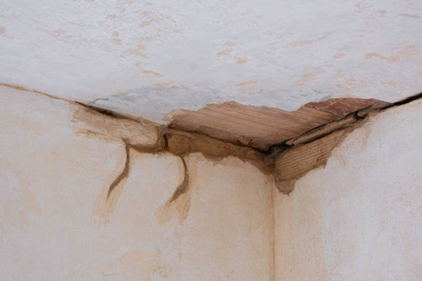 Best Water damage restoration near me  in East Brady, PA
