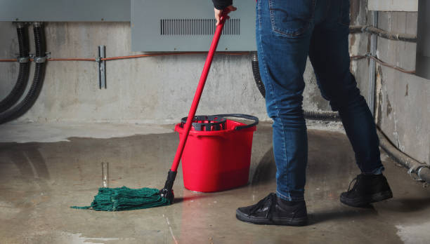 Best Sewage cleanup and water damage restoration  in East Brady, PA