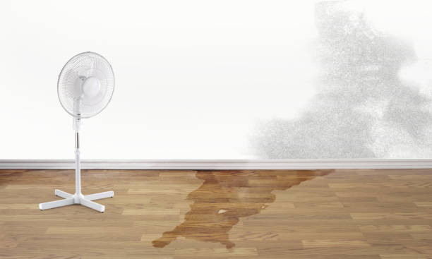 Best Commercial water damage restoration  in East Brady, PA