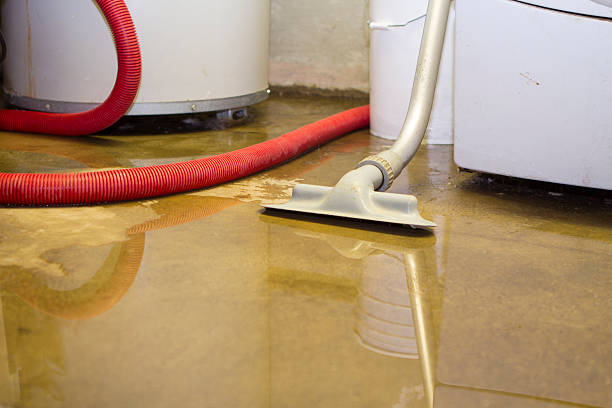 Best Carpet water damage restoration  in East Brady, PA