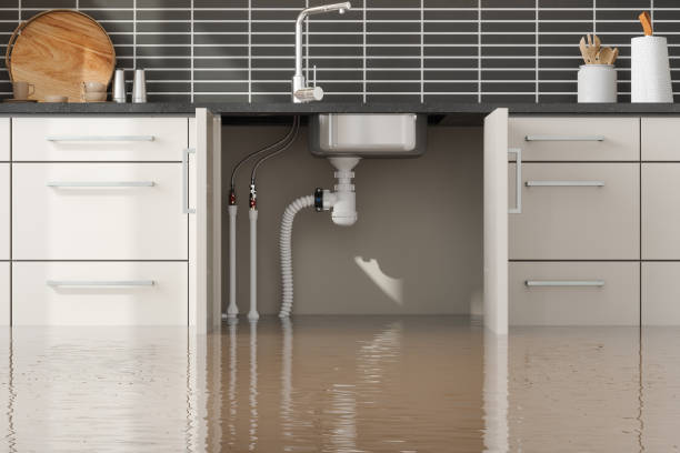 Best Professional water damage repair  in East Brady, PA